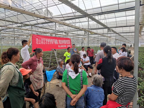 當好鄉村振興 服務員 觀山湖區科協 農技專家工作站 助力科技惠農