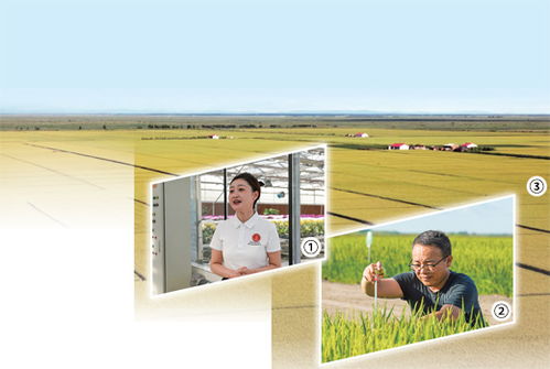 開辦田間課堂 提供農技服務 開展農產品電商直播 黑土地上扶農助農的年輕人