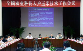 全國農(nóng)業(yè)科技人員要全力做好秋糧科技服務(wù)工作