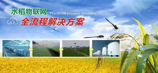 中外農業大數據企業對壘,誰能更勝一籌?