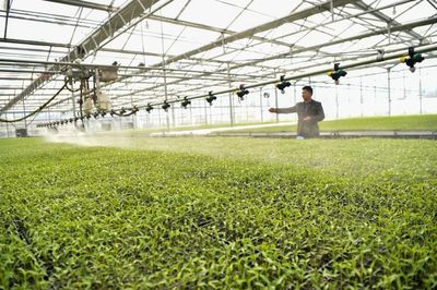 以服務之長,補農業之短!