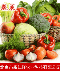 蔬菜企業(yè)大全 蔬菜企業(yè)大黃頁(yè) 蔬菜生產(chǎn)商