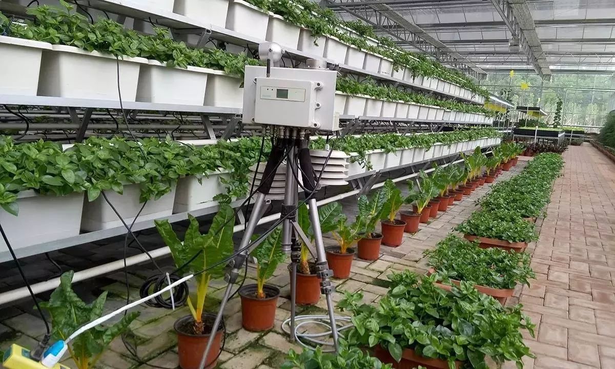 原來農(nóng)業(yè)這么&ldquo;高大上&rdquo;,為您盤點精準農(nóng)業(yè)領域的10項尖端技術_科技_網(wǎng)