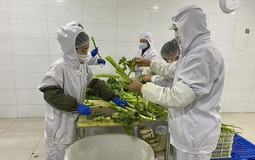 淶水發(fā)展 訂單 保底 式消費(fèi)扶貧助農(nóng)增收