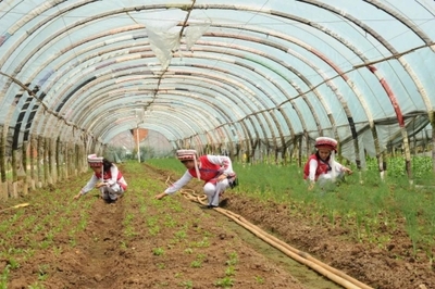 聚焦黨代會(huì) | 五華奮力譜寫(xiě)區(qū)域性國(guó)際中心城市高品質(zhì)核心區(qū)建設(shè)嶄新篇章