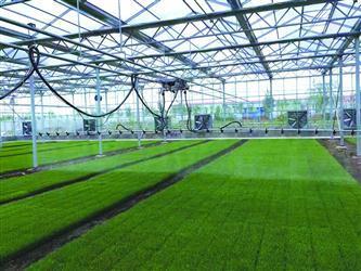 從幾戶農(nóng)民幾臺(tái)農(nóng)機(jī)合伙替他人翻地播種,到建育苗基地為水稻種植戶提供秧苗,再到自己租地種地-- 承接土地流轉(zhuǎn) 農(nóng)機(jī)合作社做大了__中國青年網(wǎng)