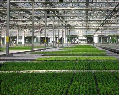 張兵書記調研湘家蕩農業數字化工廠，助力農民豐收節農業科技服務