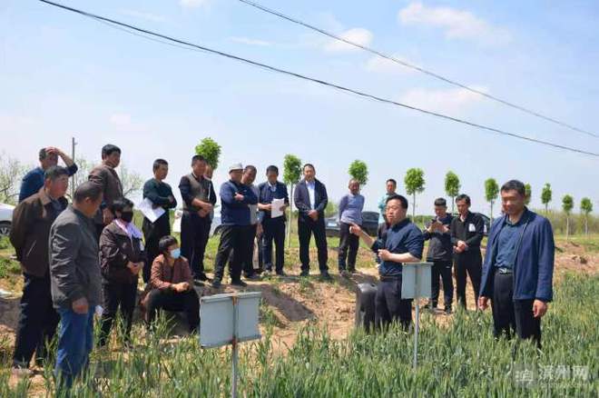 科技特派員賦能濱州田野，精準服務播撒鄉村振興新希望