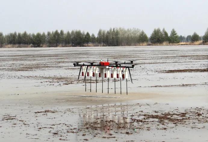 《“十三五”農業農村發展成就斐然，農業機械化與科技服務引領現代農業新篇章》